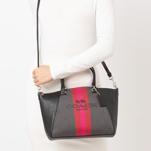 coach horse and carriage satchel